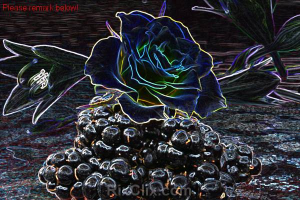 You have reached the last slide